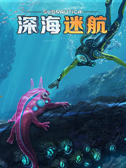 那里的服装批发便宜